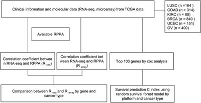 Comparison of RNA-Seq and microarray in the prediction of protein expression and survival prediction